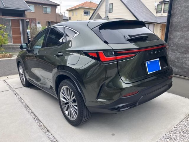 LEXUS NX250