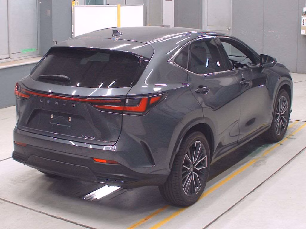LEXUS NX250