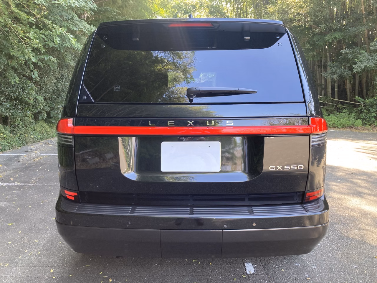 LEXUS GX550