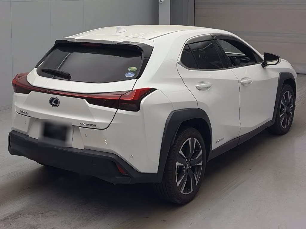 LEXUS UX250H