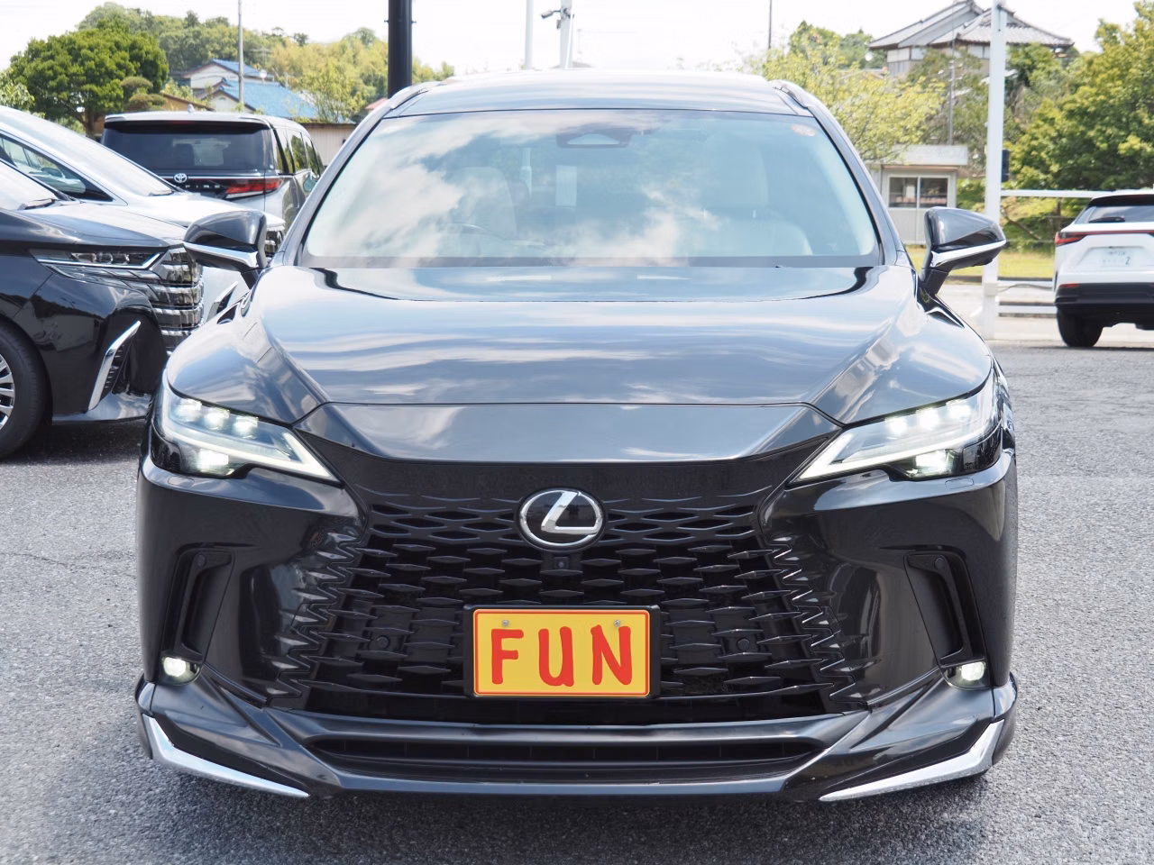 LEXUS RX450H+