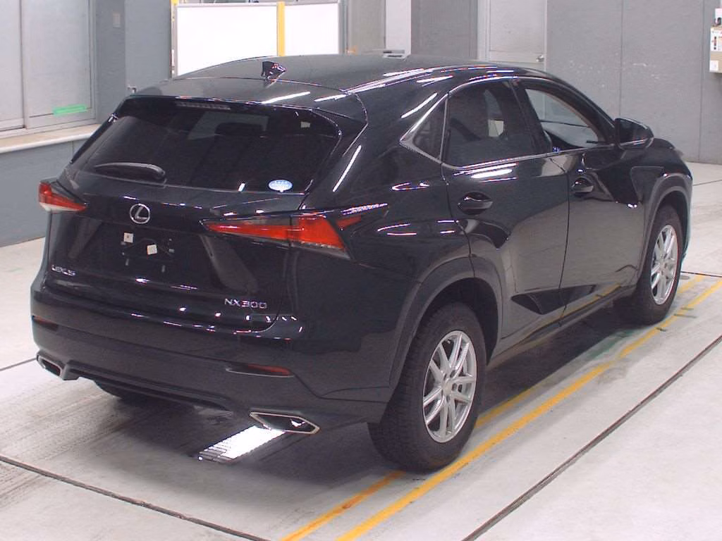 LEXUS NX300