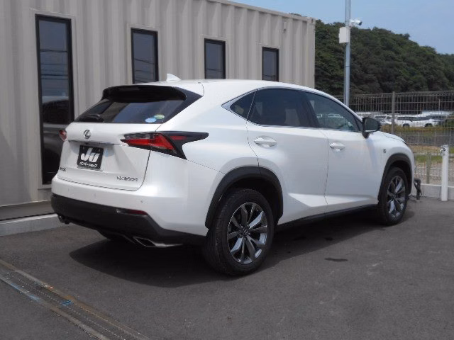 LEXUS NX200T