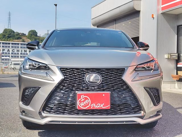 LEXUS NX300