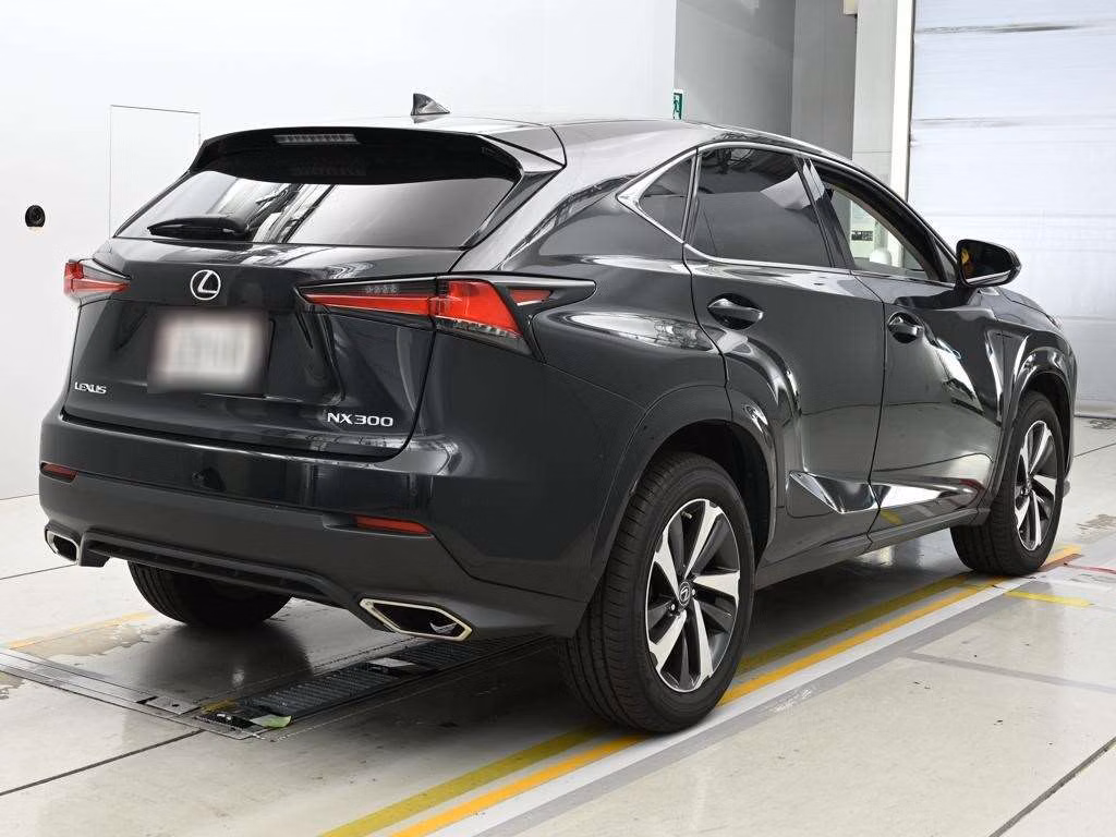 LEXUS NX300