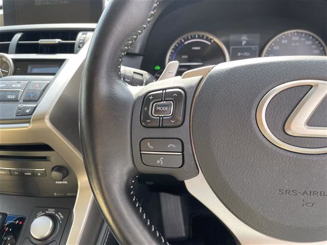 LEXUS NX300H