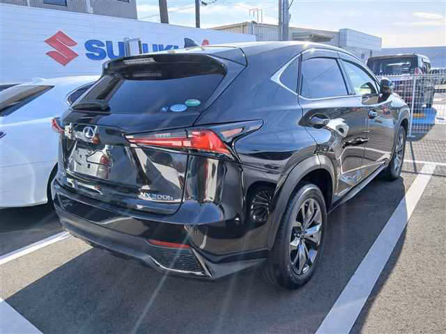 LEXUS NX300