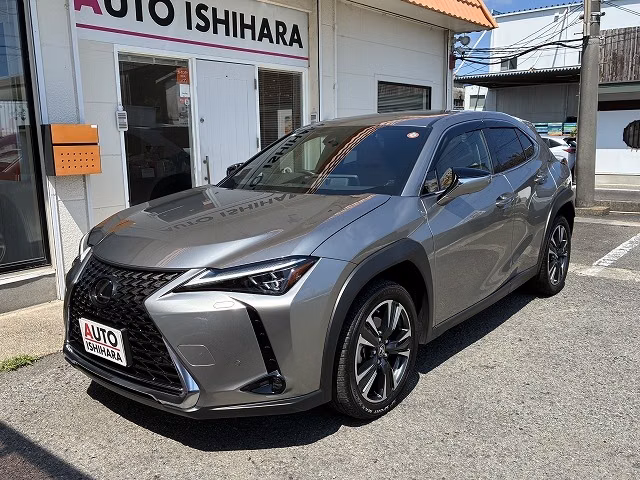 LEXUS UX250H