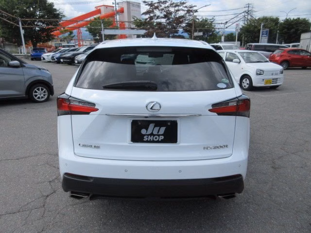 LEXUS NX200T