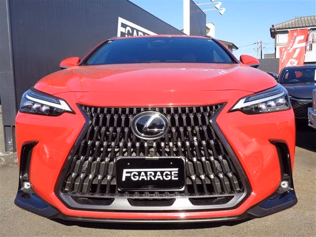 LEXUS NX450H+