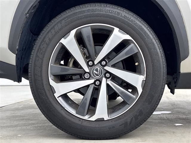 LEXUS NX300