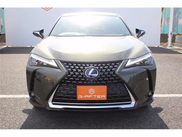 LEXUS UX300E