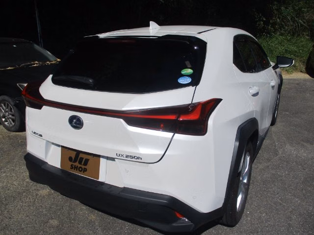 LEXUS UX250H