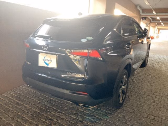 LEXUS NX300