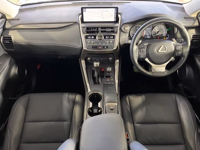 LEXUS NX300