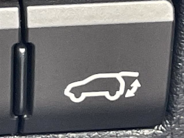 LEXUS NX300
