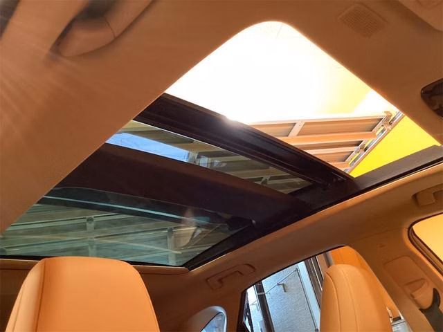 LEXUS NX250