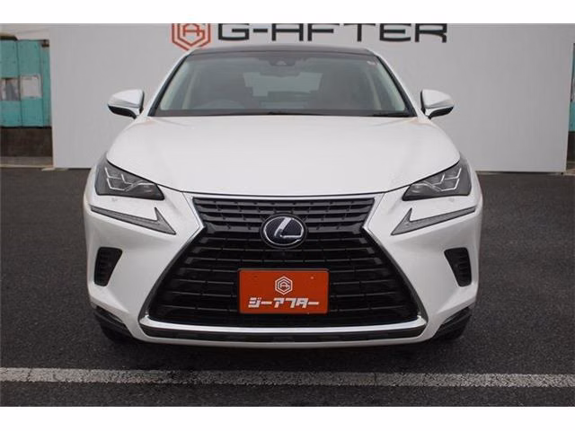 LEXUS NX300H