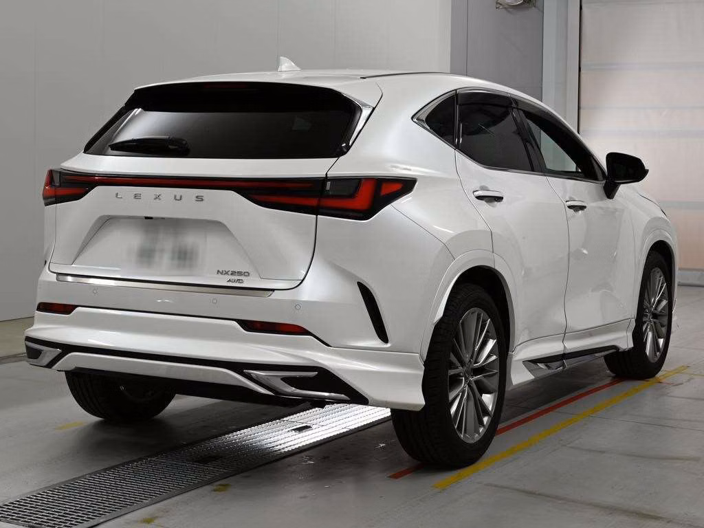 LEXUS NX250
