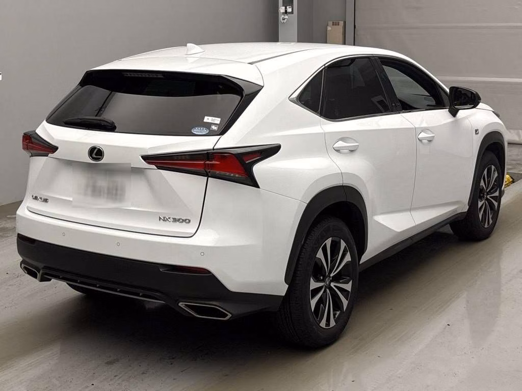 LEXUS NX300