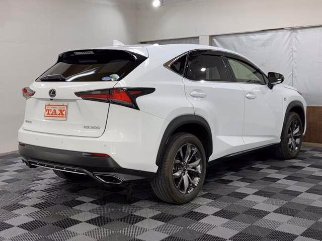 LEXUS NX300
