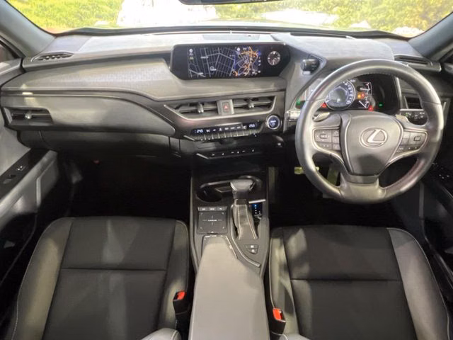 LEXUS UX250H