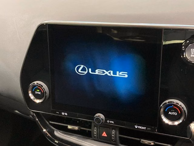 LEXUS NX250
