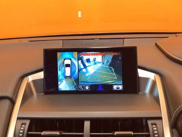 LEXUS NX300H
