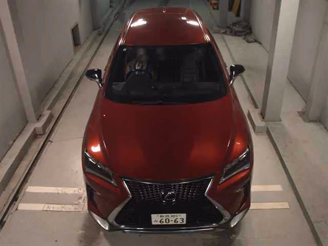 LEXUS RX200T