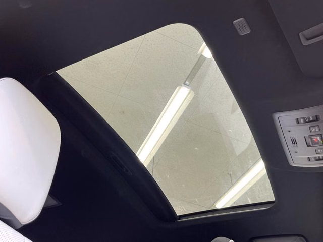 LEXUS NX300H
