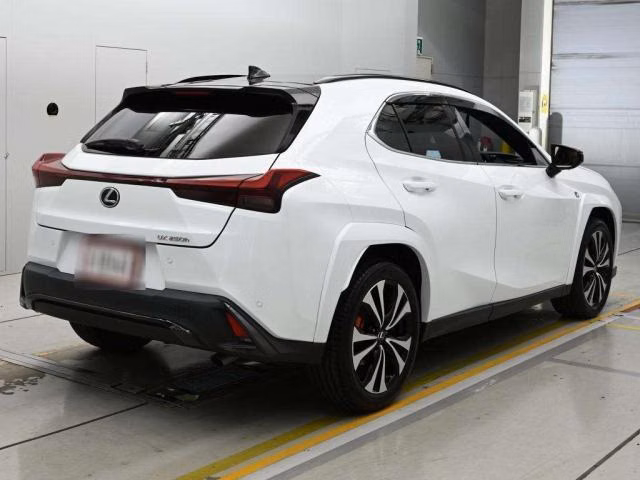 LEXUS UX250H