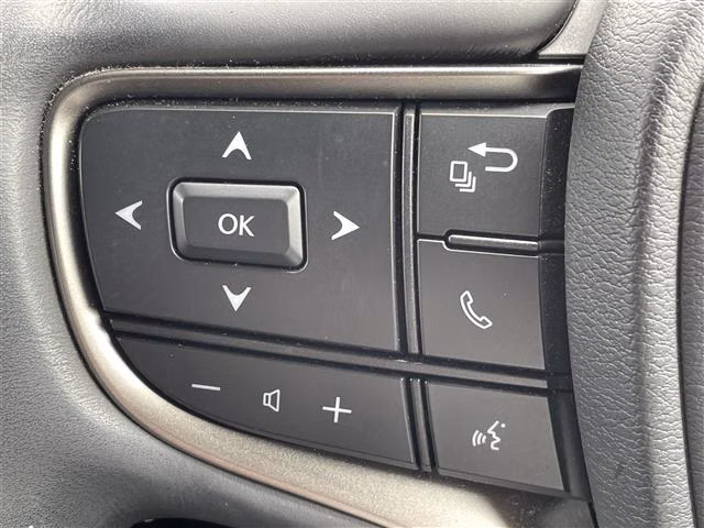 LEXUS UX250H