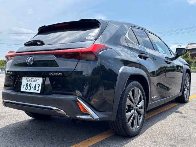 LEXUS UX250H