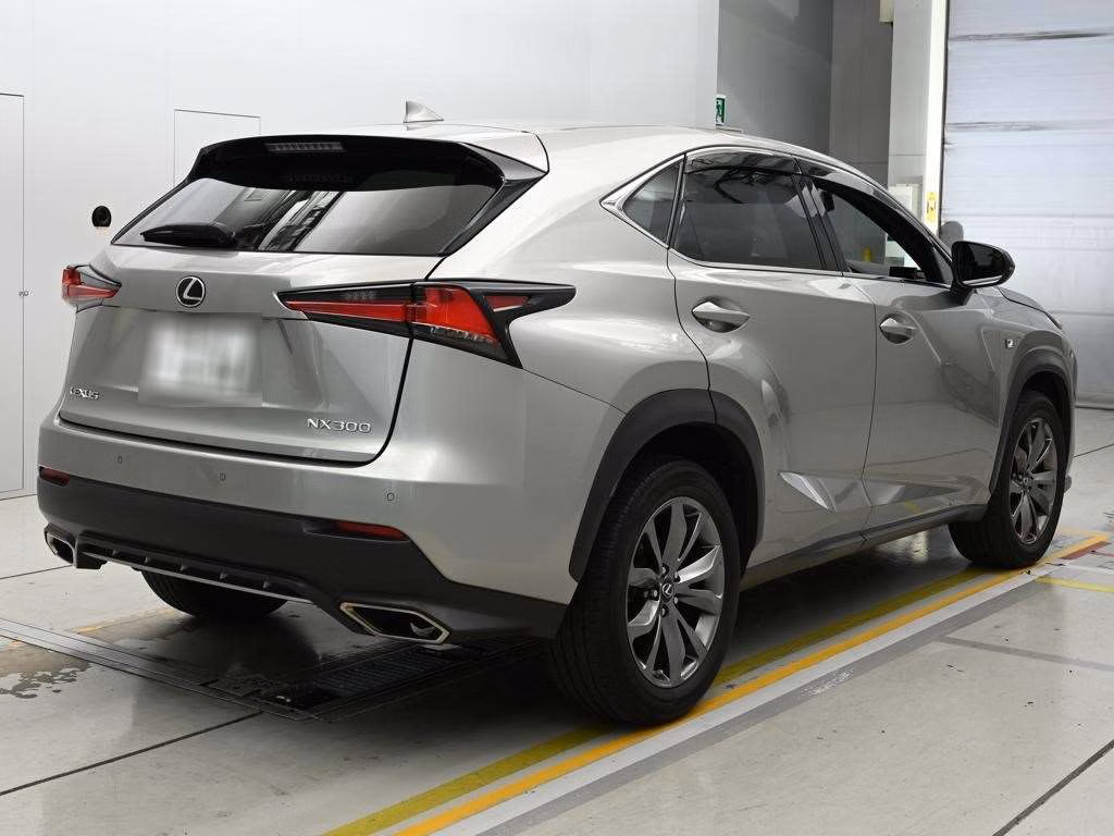 LEXUS NX300