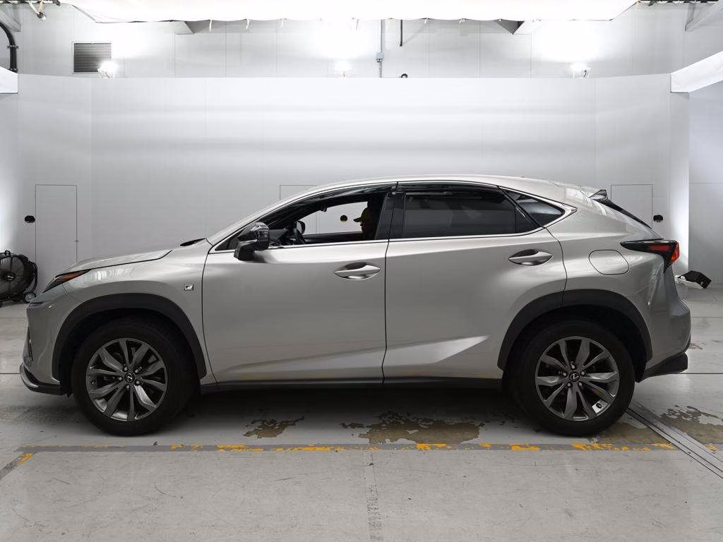 LEXUS NX300