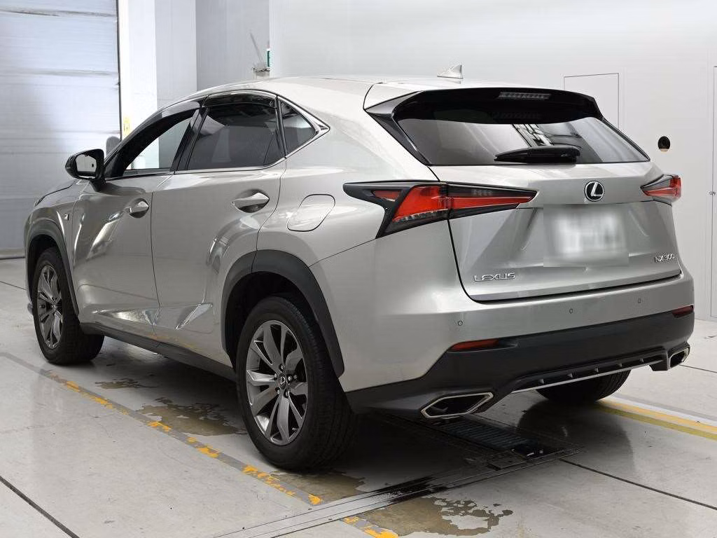 LEXUS NX300