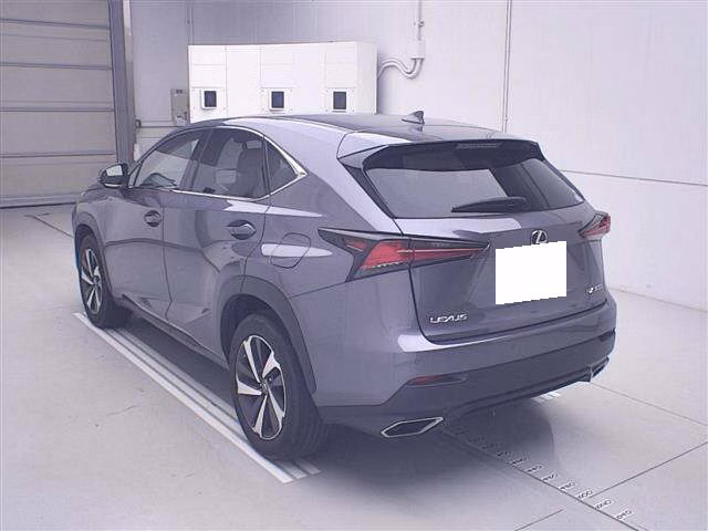 LEXUS NX300