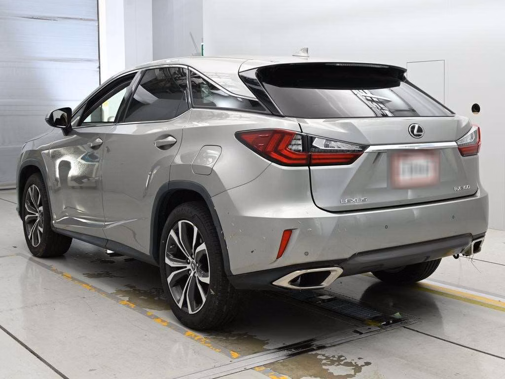 LEXUS RX300