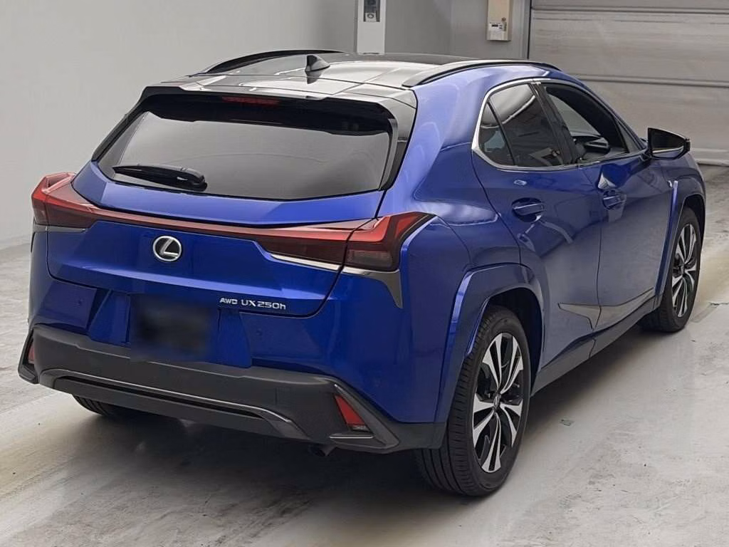 LEXUS UX250H