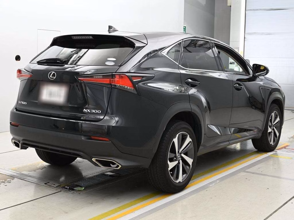 LEXUS NX300