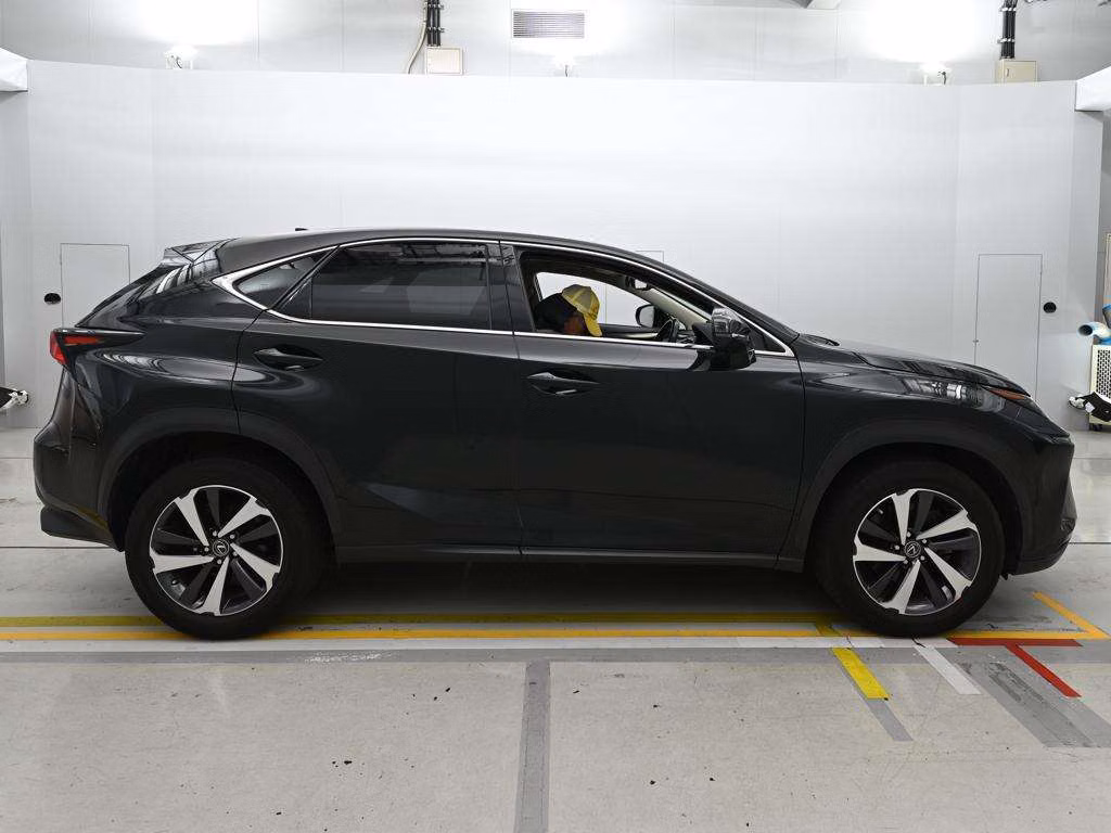 LEXUS NX300