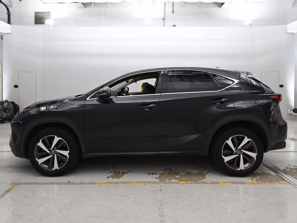 LEXUS NX300