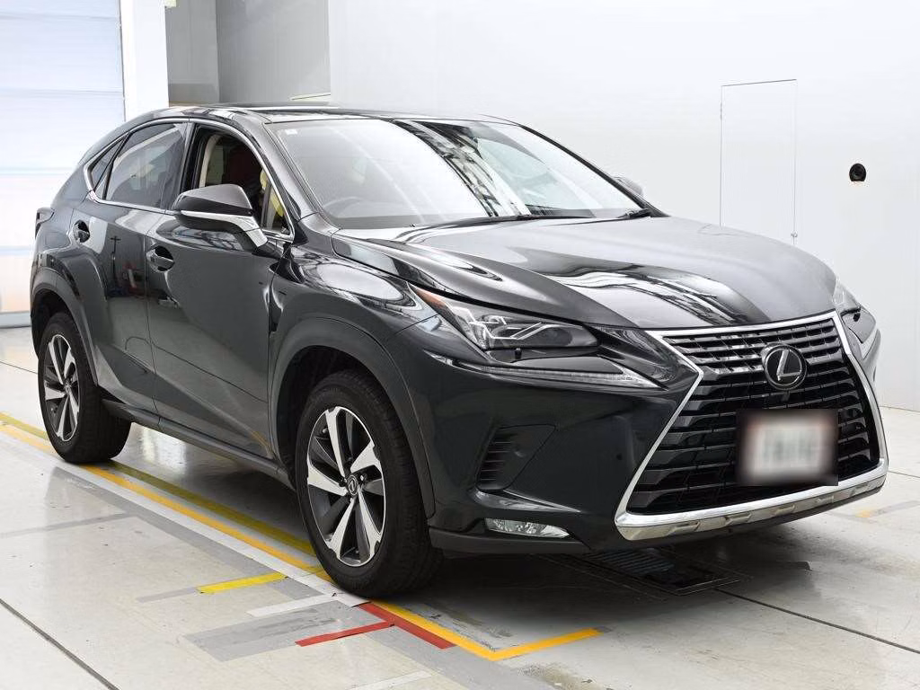 LEXUS NX300