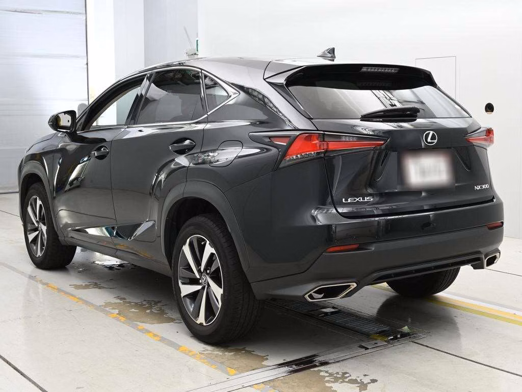 LEXUS NX300