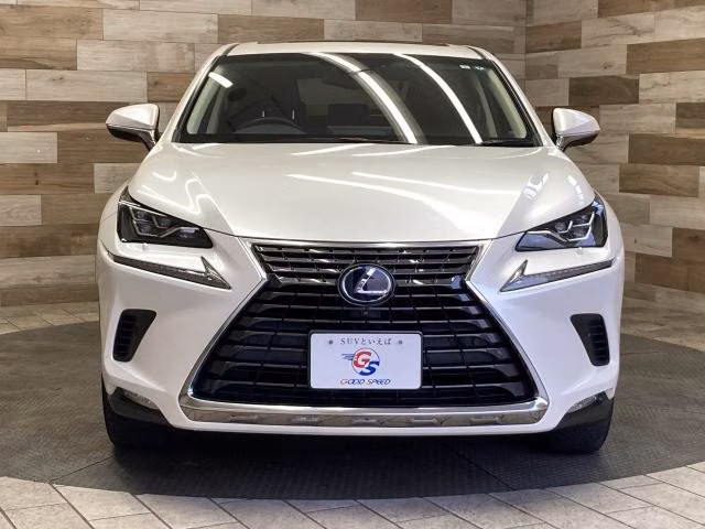 LEXUS NX300H