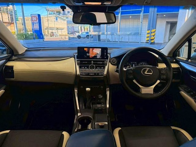 LEXUS NX300