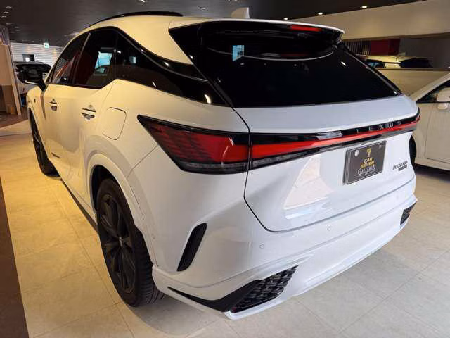 LEXUS RX500H