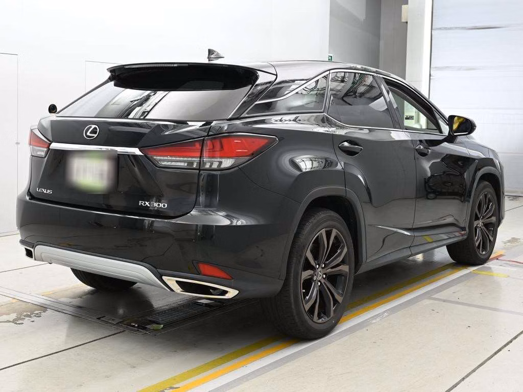 LEXUS RX300