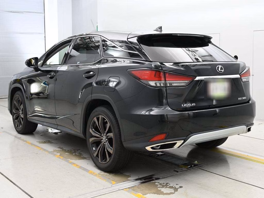 LEXUS RX300