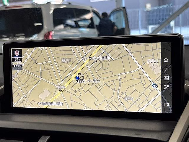 LEXUS NX300